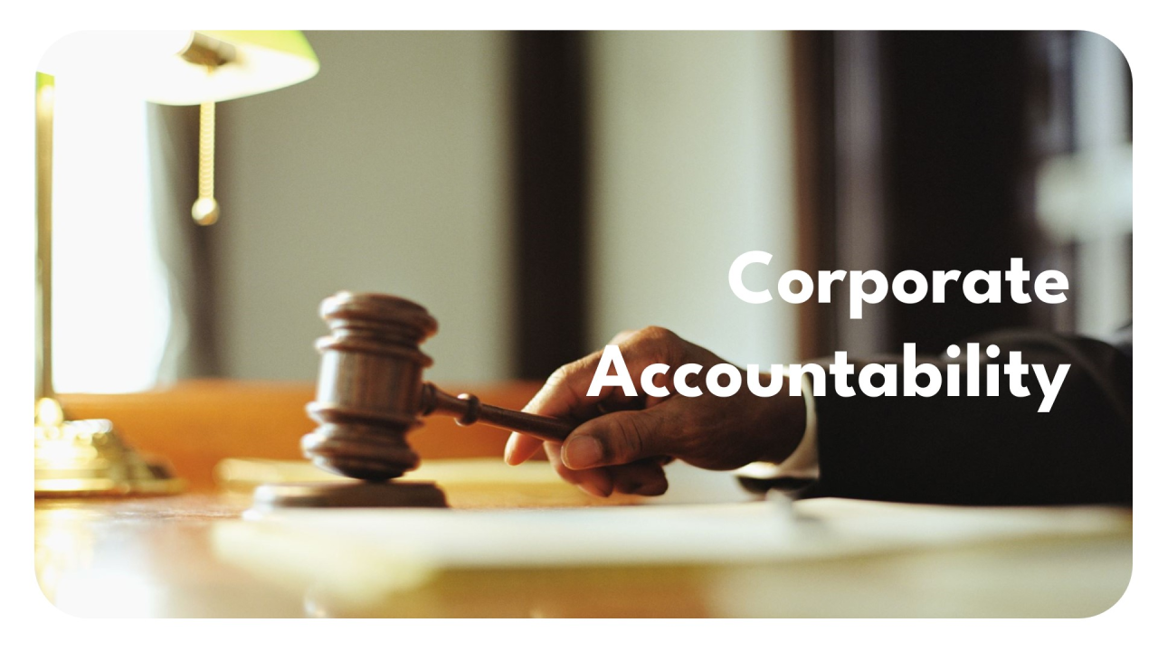 Corporate accountability